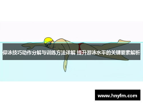 仰泳技巧动作分解与训练方法详解 提升游泳水平的关键要素解析