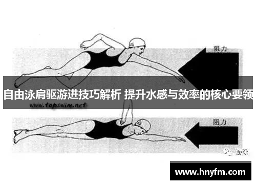 自由泳肩驱游进技巧解析 提升水感与效率的核心要领